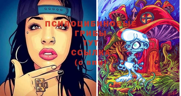 соль курить ск Липки