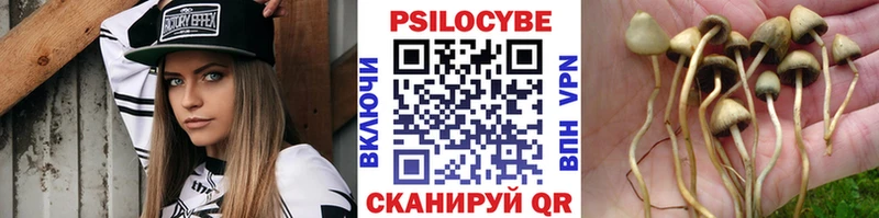 Псилоцибиновые грибы Psilocybine cubensis  Купить  Новодвинск 
